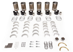 Overhaul Kit