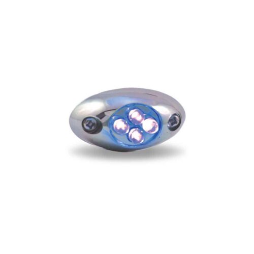 Blue LED Courtesy Light – 4 Diodes