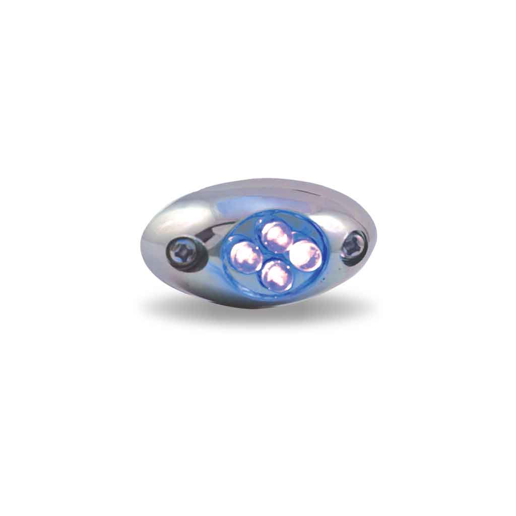 Blue LED Courtesy Light – 4 Diodes